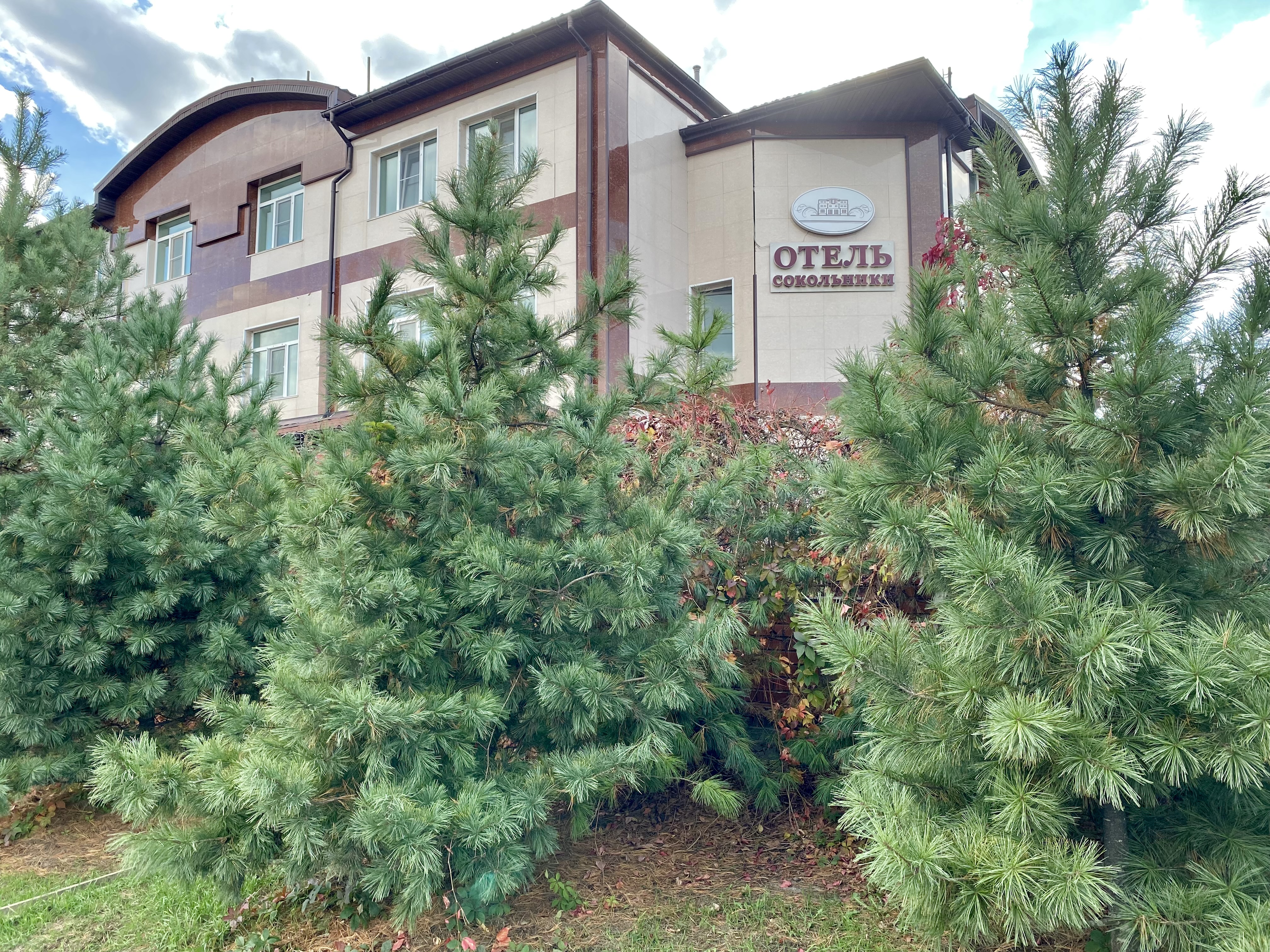 Фото Сокольники