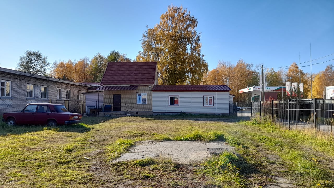 Фото Брусника