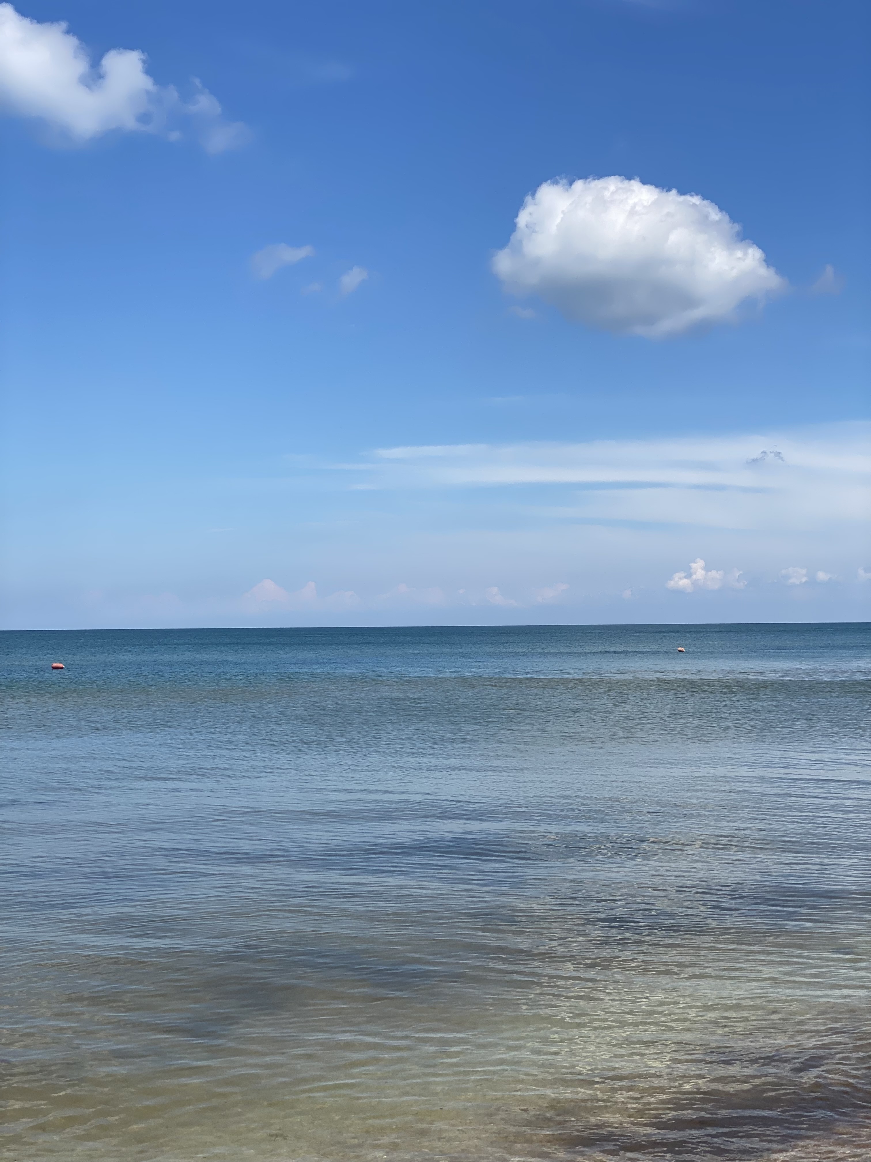 Фото Даурия