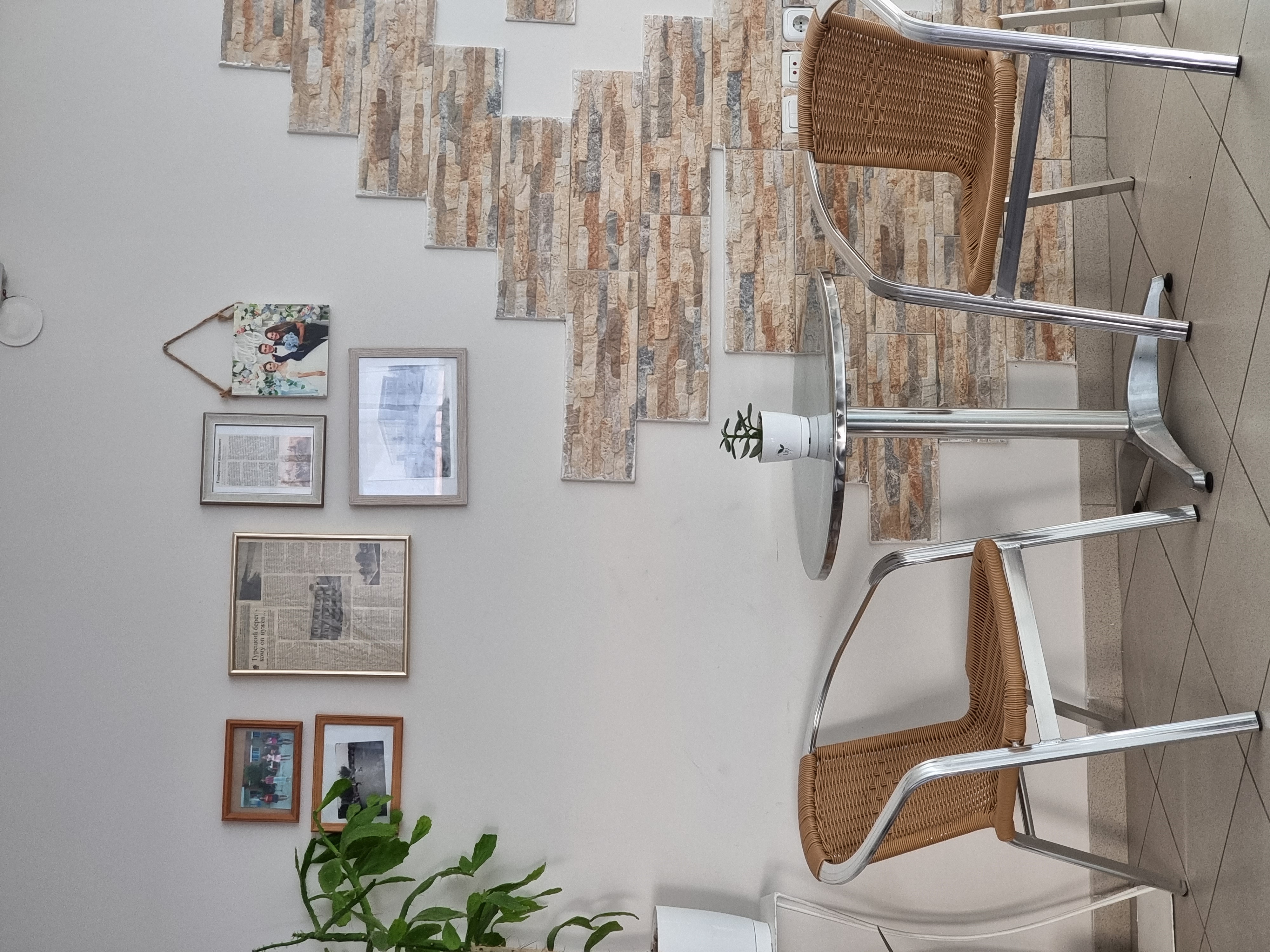 Фото Альбатрос