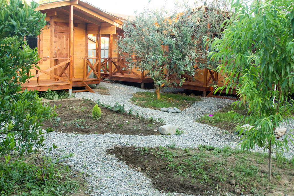 Фото Теремки