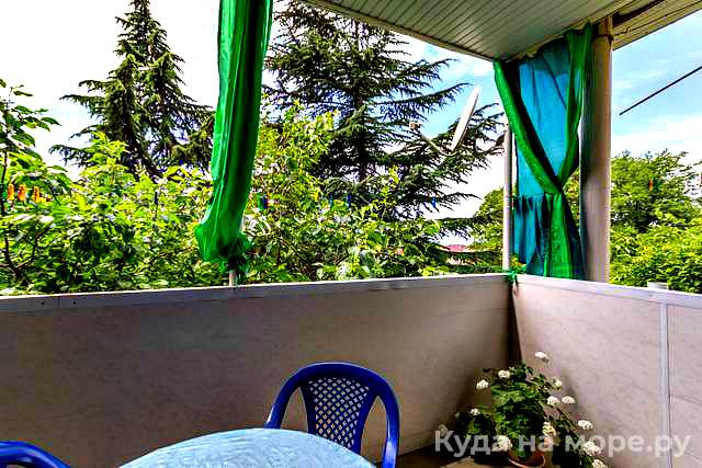 Фото Виолетта