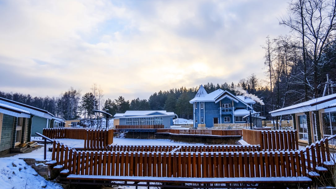 Фото Лесная история