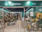 Socvetie (Shumakova Street, 46), flower shop