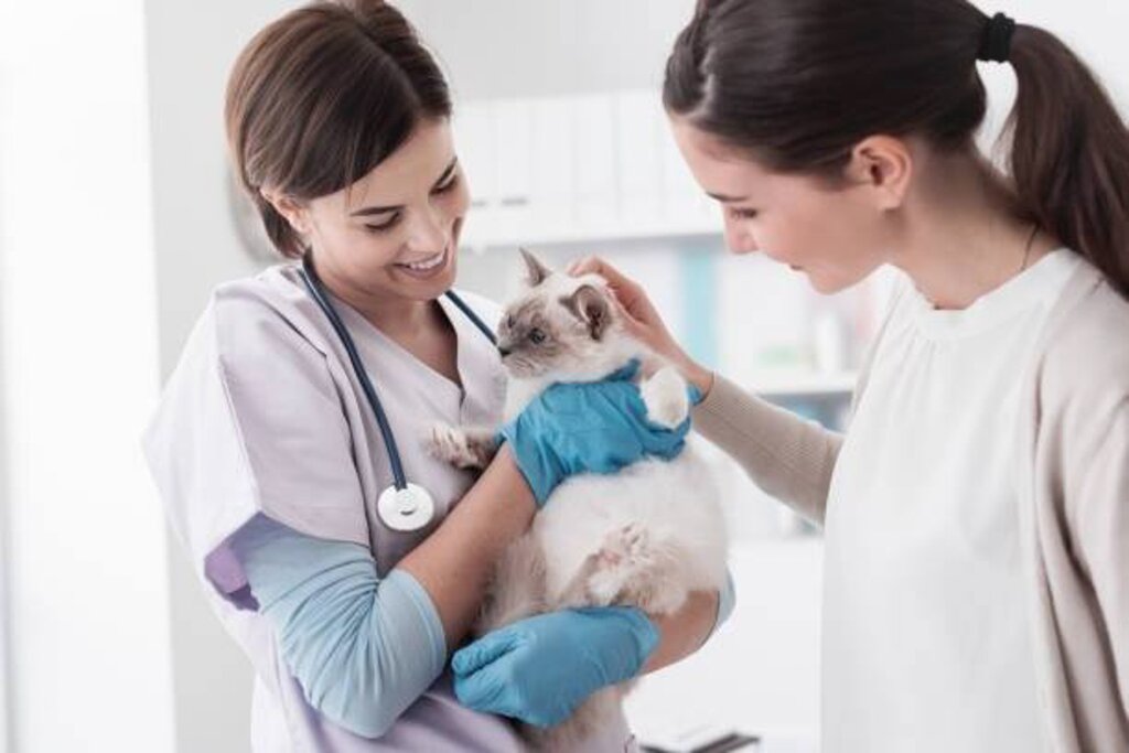 Veterinary drugs and equipment Stones River Veterinary Hospital, Murfreesboro, photo