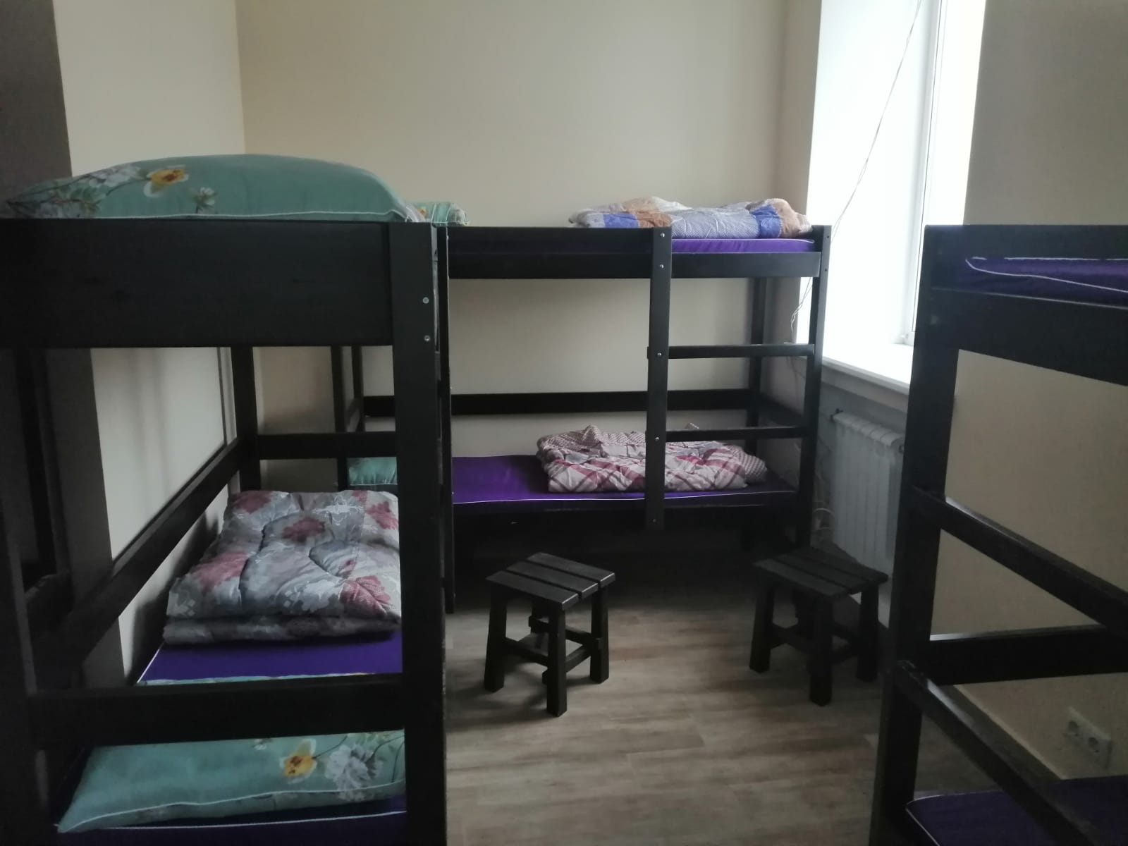 Фото Вежливый лось на Дмитровской