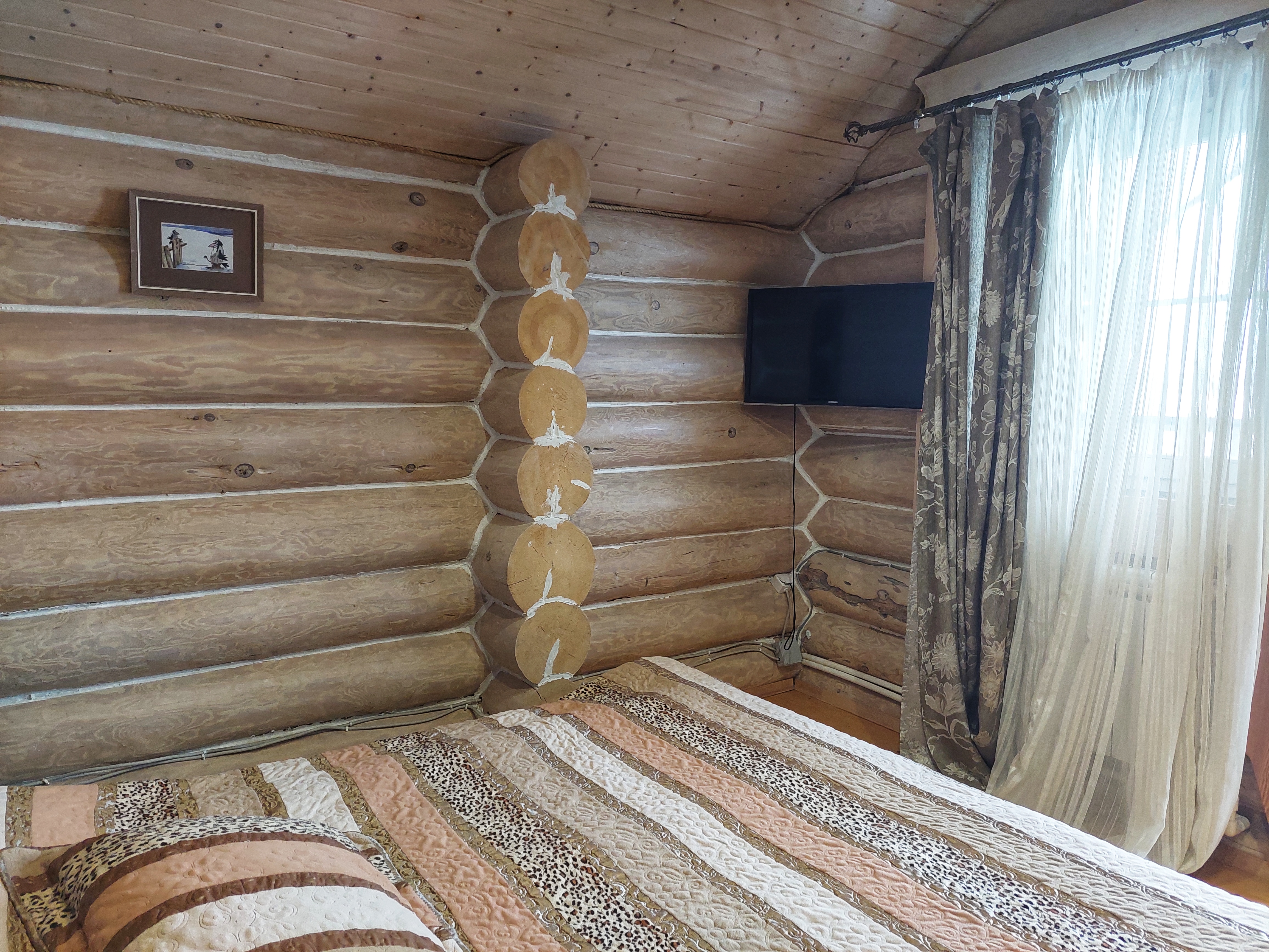 Фото Сорока