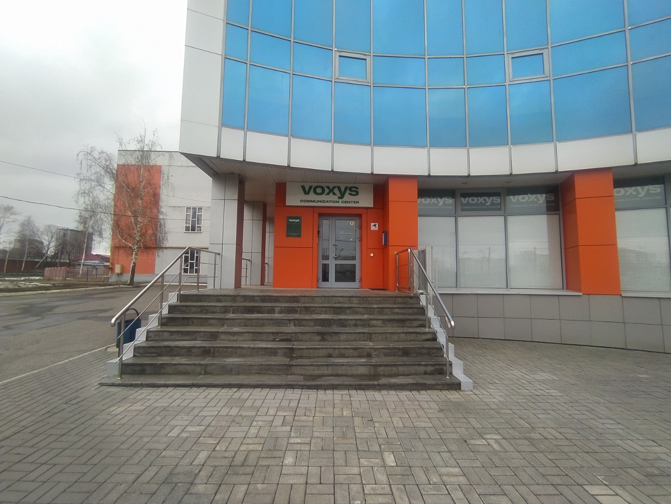 Porno uchun mushuklar korsatish