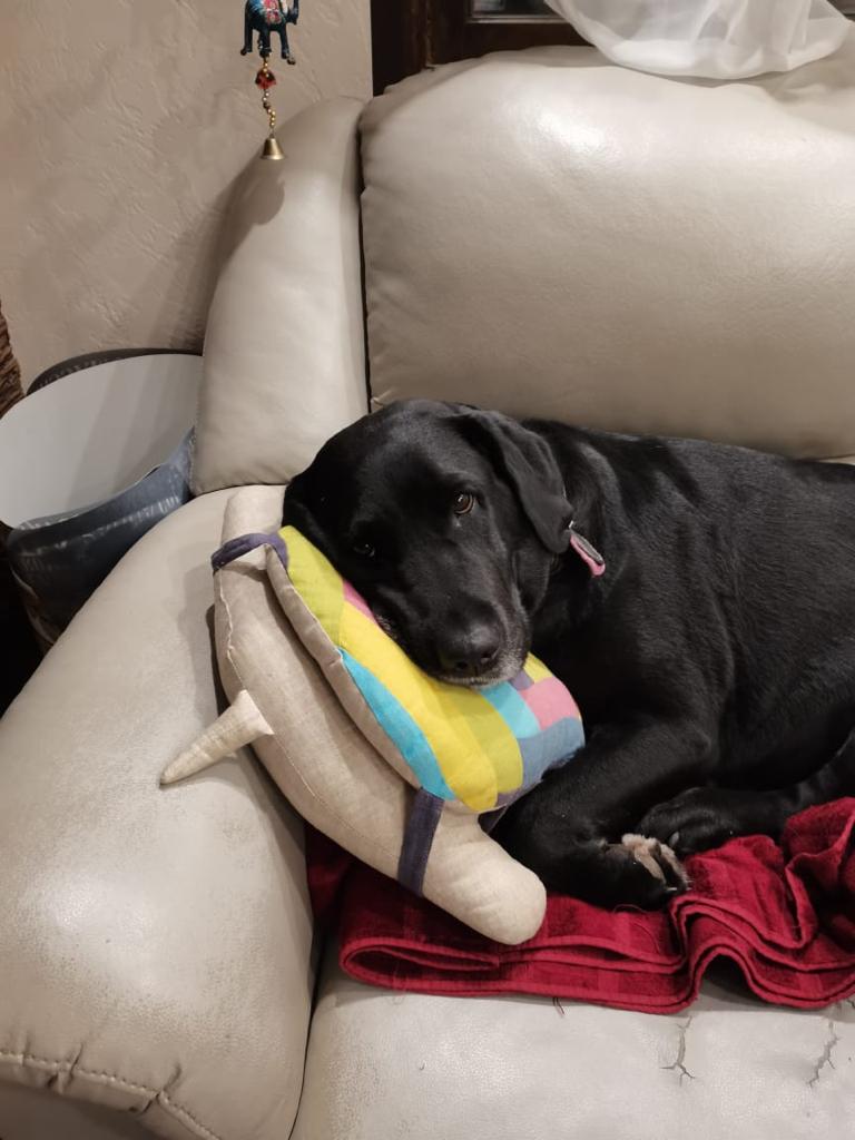 Фото Дом у залива