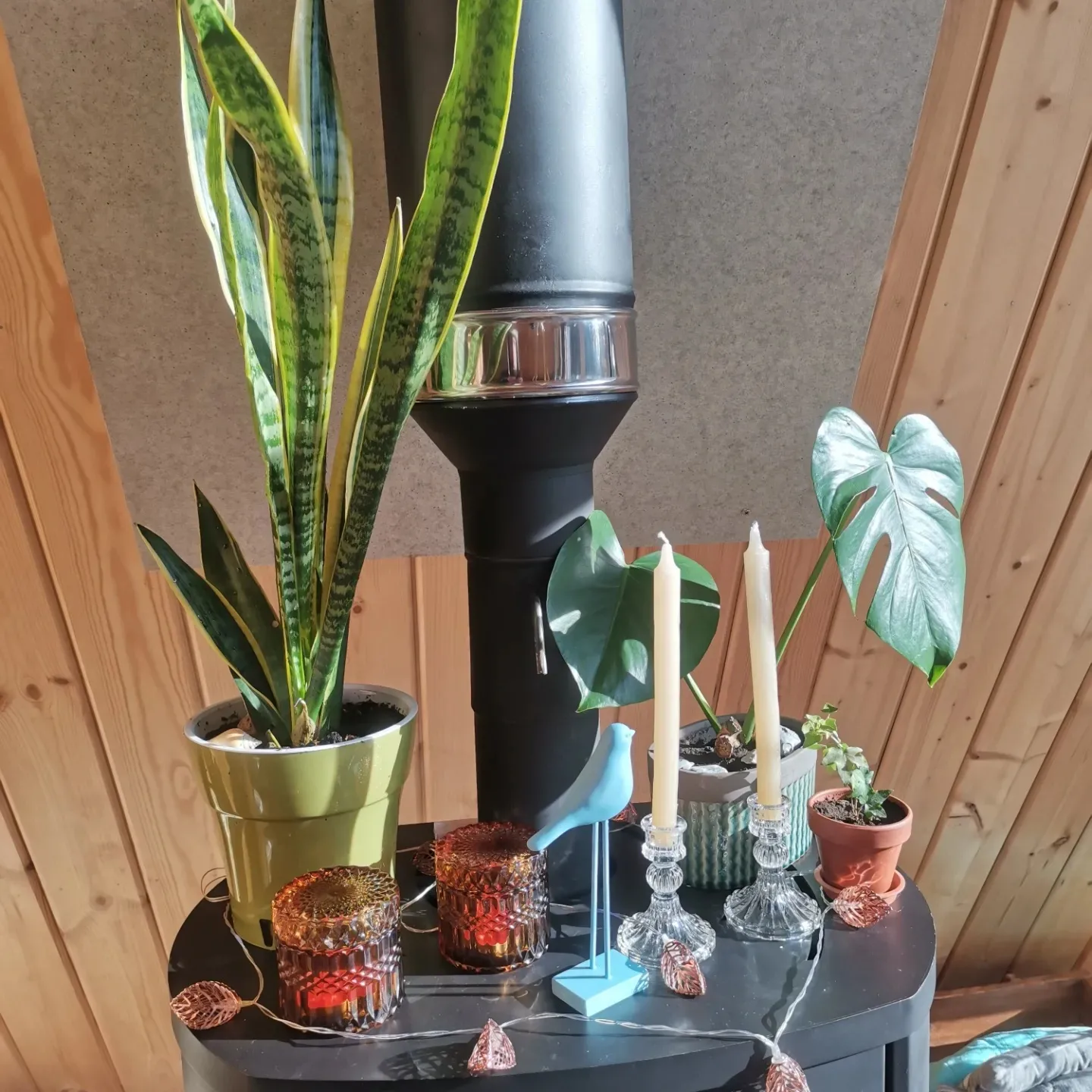 Фото О, Дни в Лесу