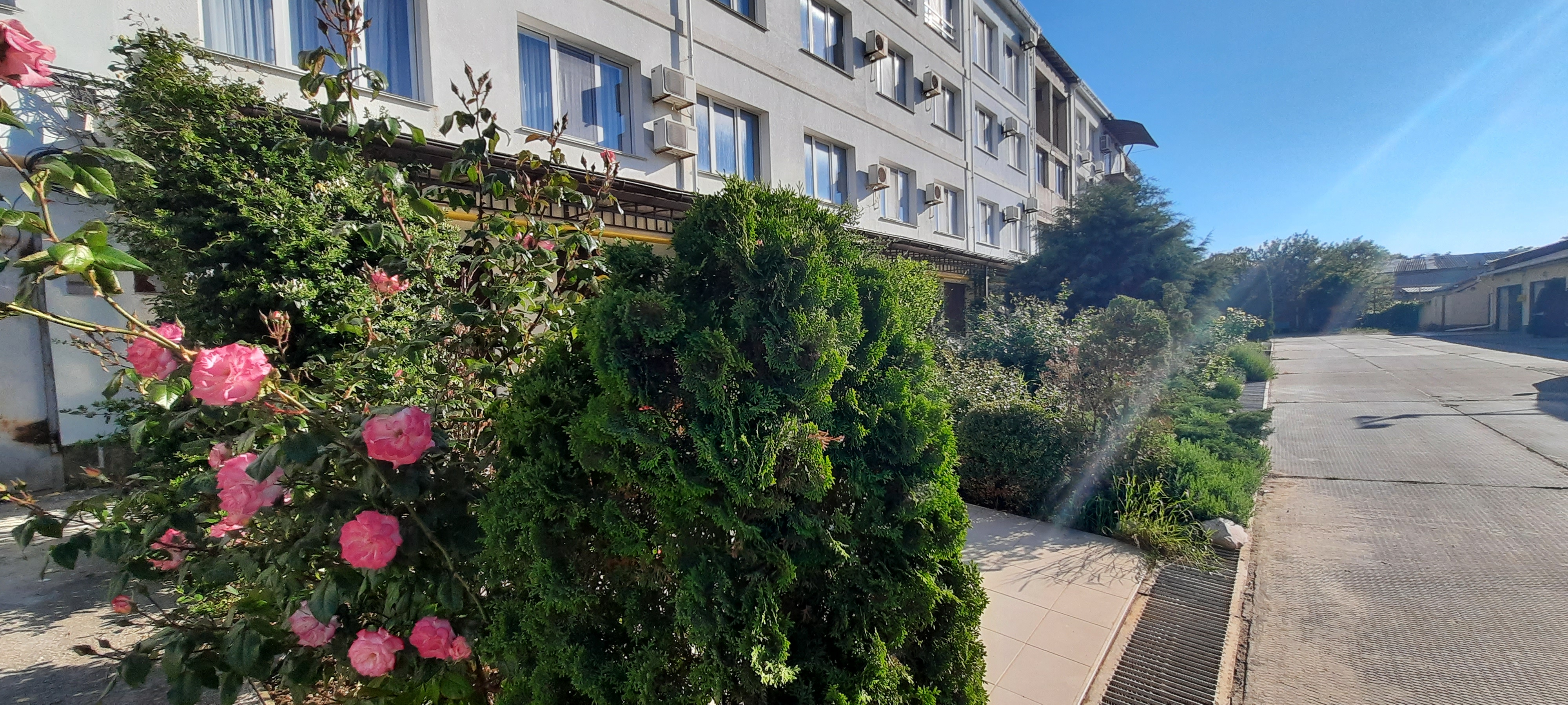 Фото Пять Ракушек