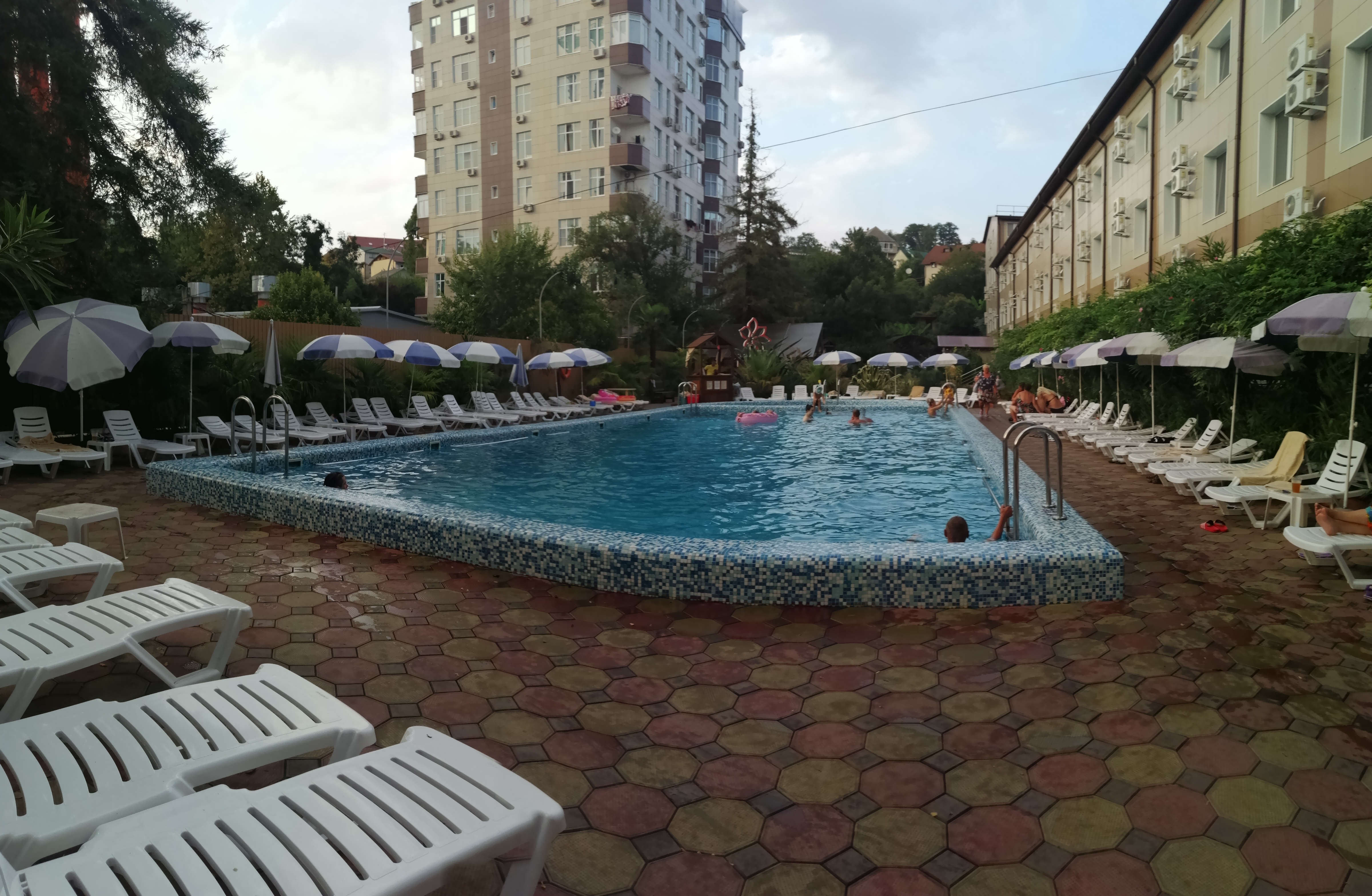 Фото Азалия