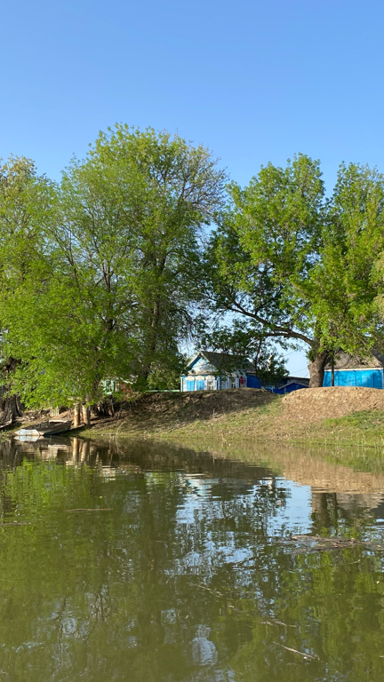 Фото Домик в Лотосах