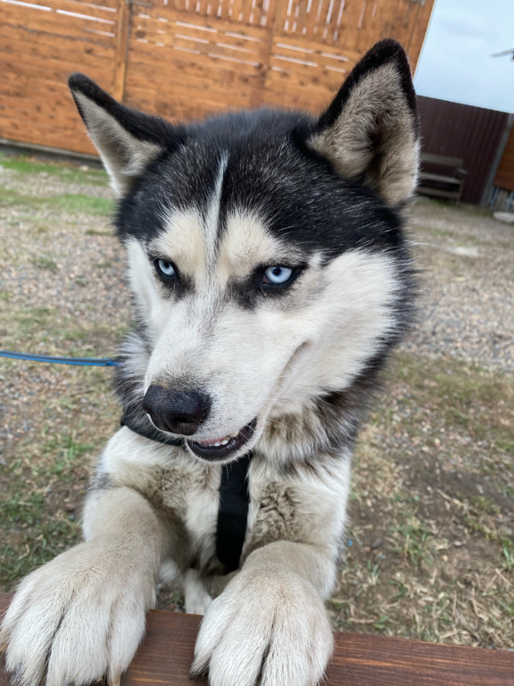 Фото Аляска