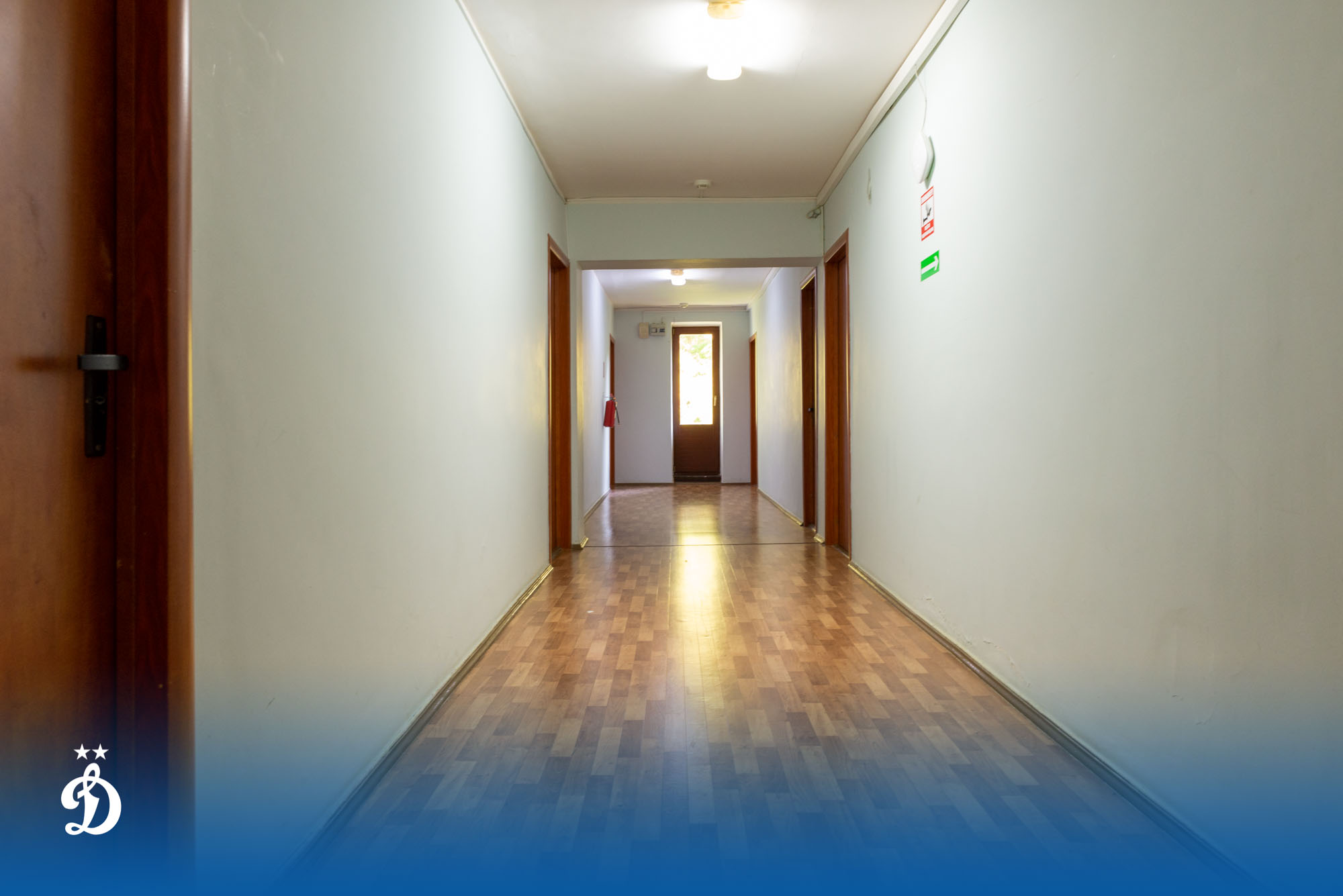 Фото Динамо