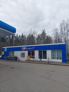Drive Café (Leningrad Region, Luzhskiy District, Mshinskoye selskoye poseleniye) ، مقهى