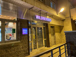 Lotos (Leninskiy Avenue, 57к1), tintorería