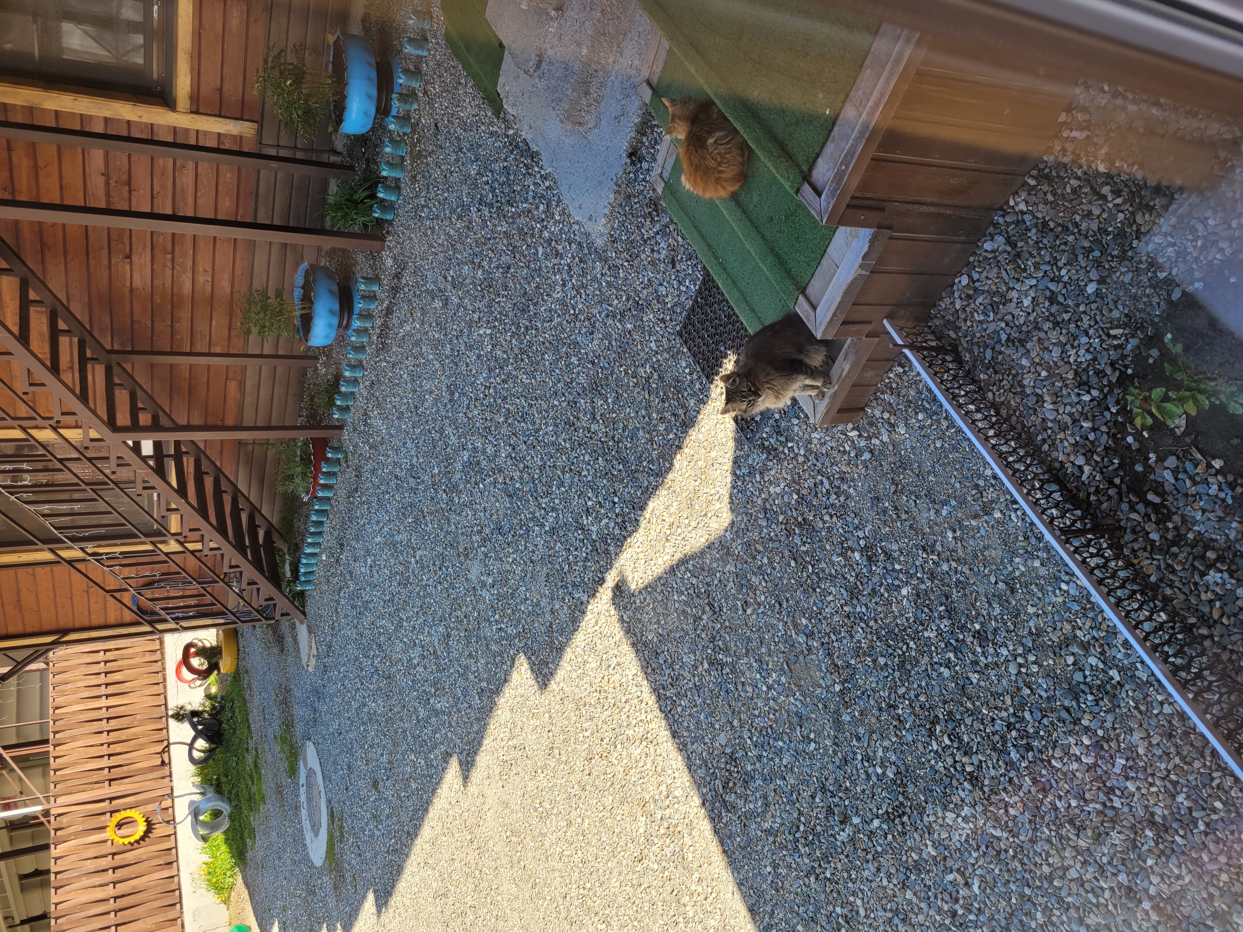 Фото Предгорье