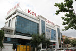 Büyükçekmece Kolan Hospıtal (İstanbul, Büyükçekmece, Fatih Mah., Fedakar Sok., 3), hospital