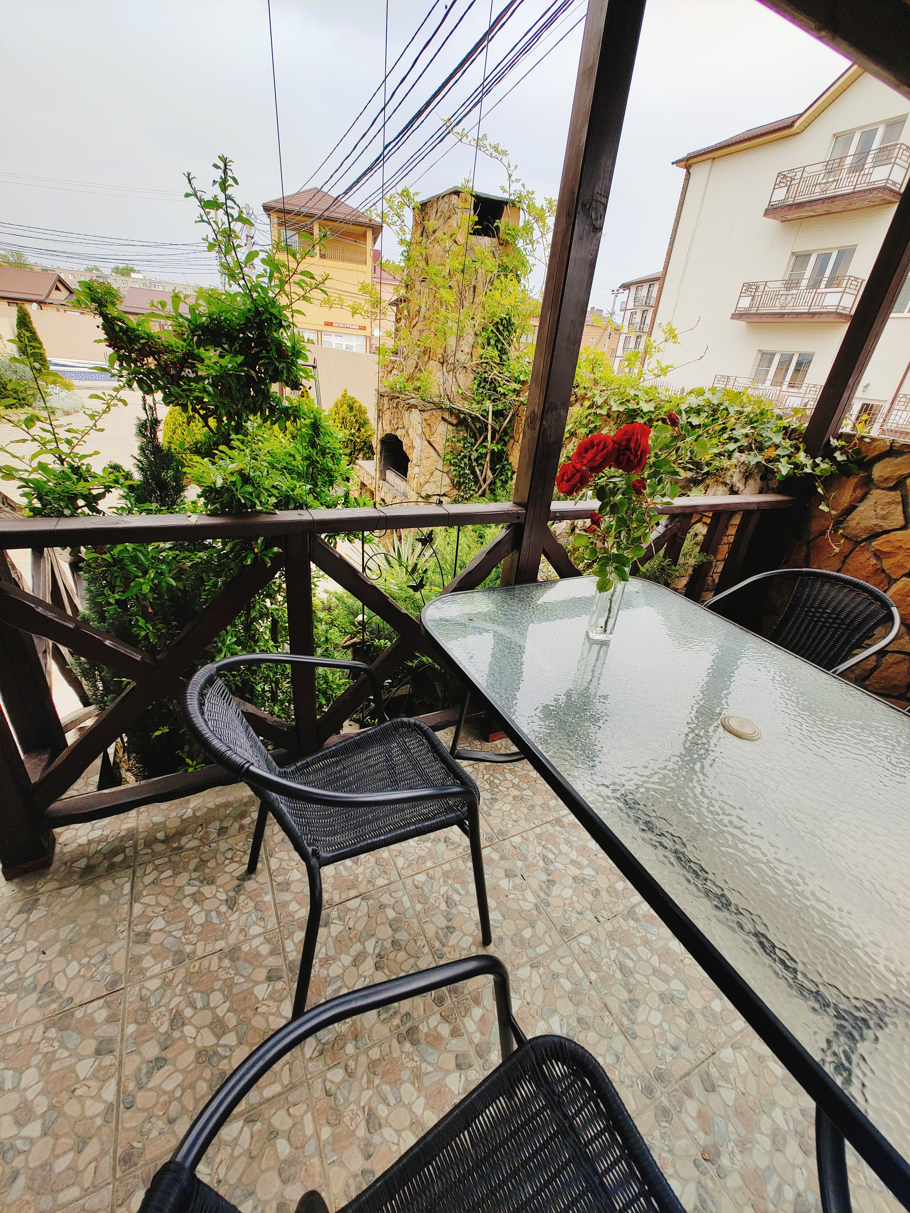 Фото Наутилус