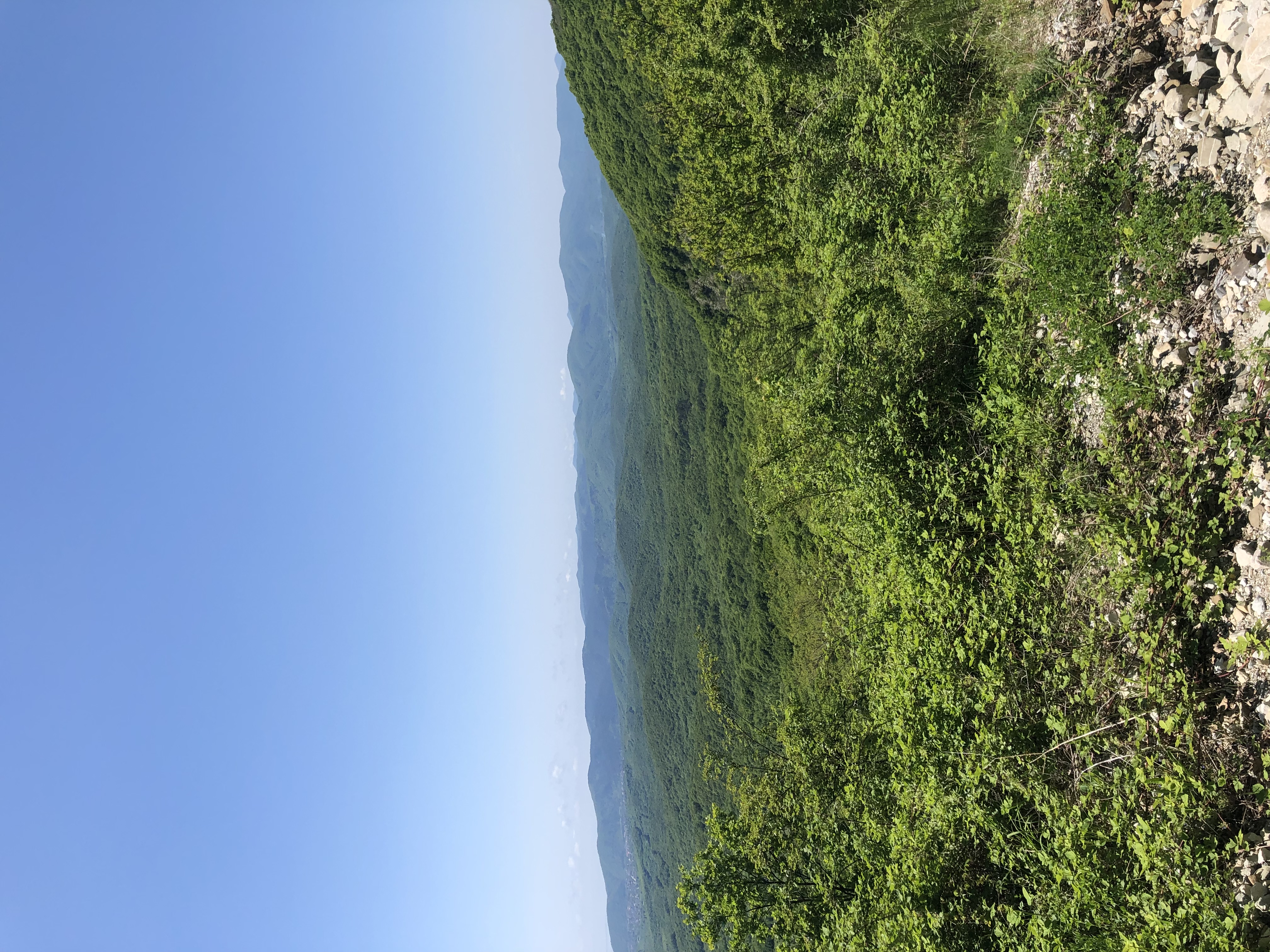 Фото Архипка