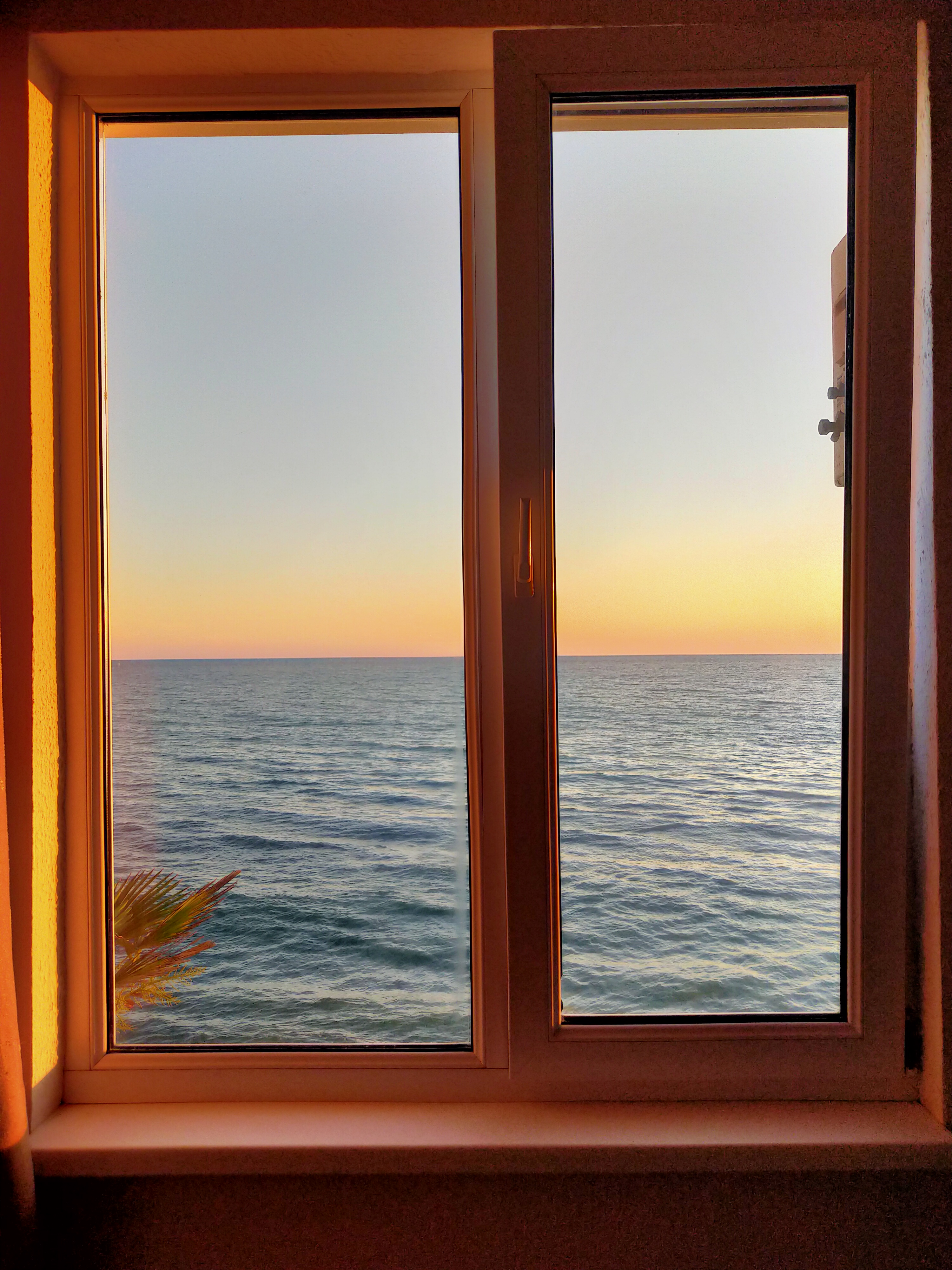 Фото Ариода