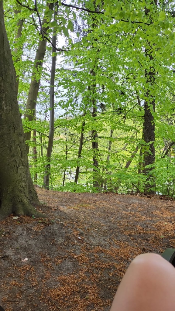 Фото Мечты сбываются