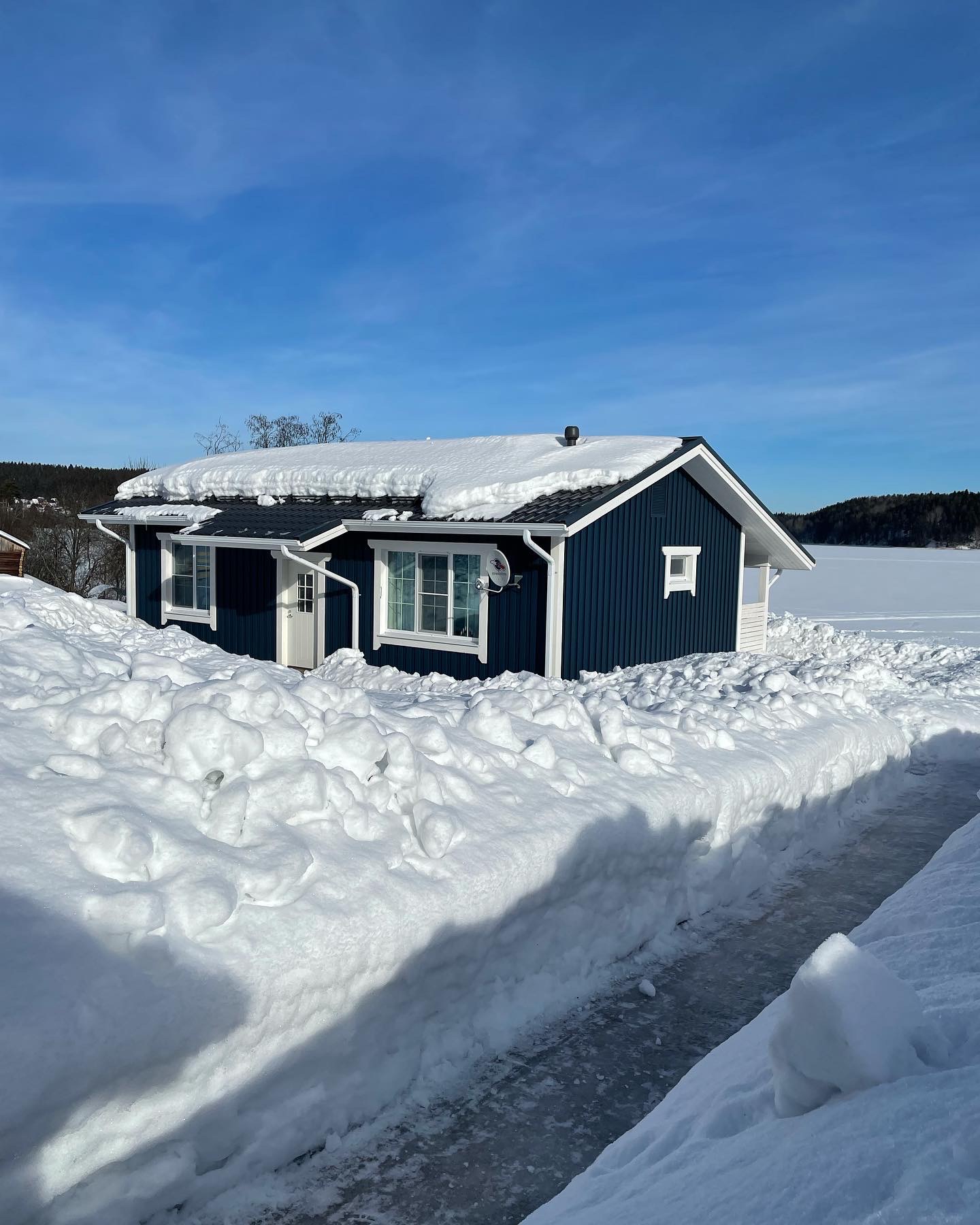 Фото Черника в Сонном заливе