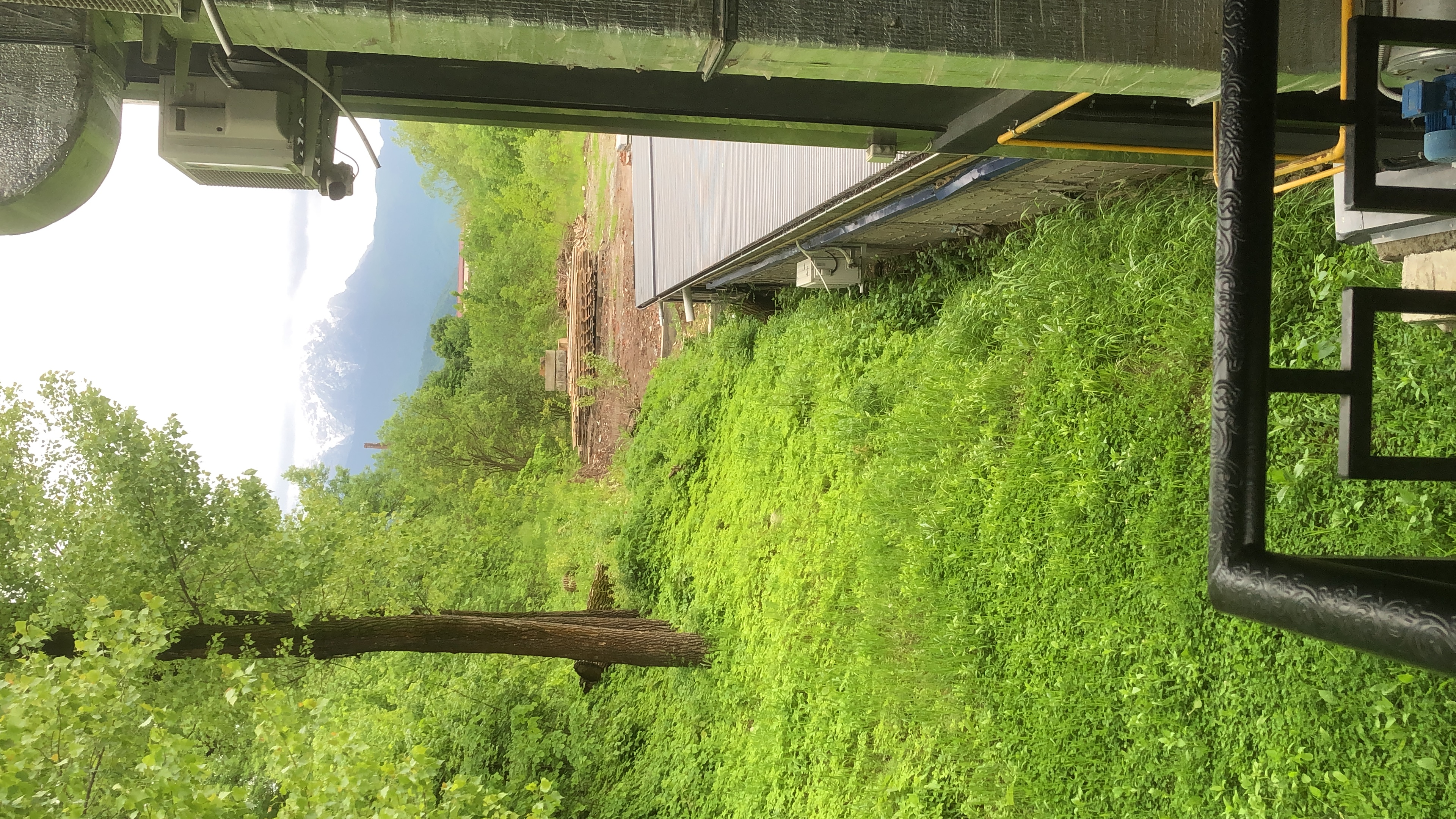 Фото Бумеранг