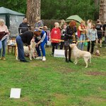 Спортивно-кинологический центр Спектр (ул. Баныкина, 5В), зооцентр, клуб любителей животных в Тольятти