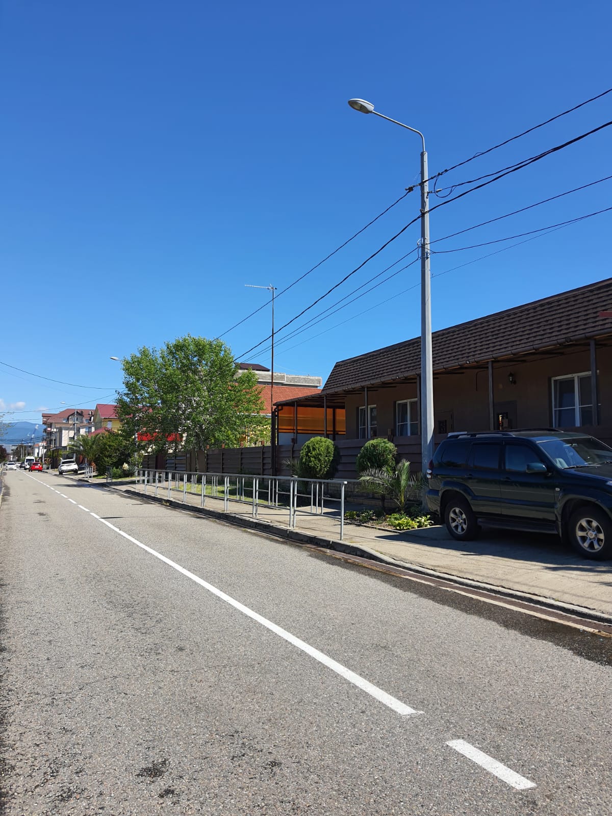 Фото Тростничок