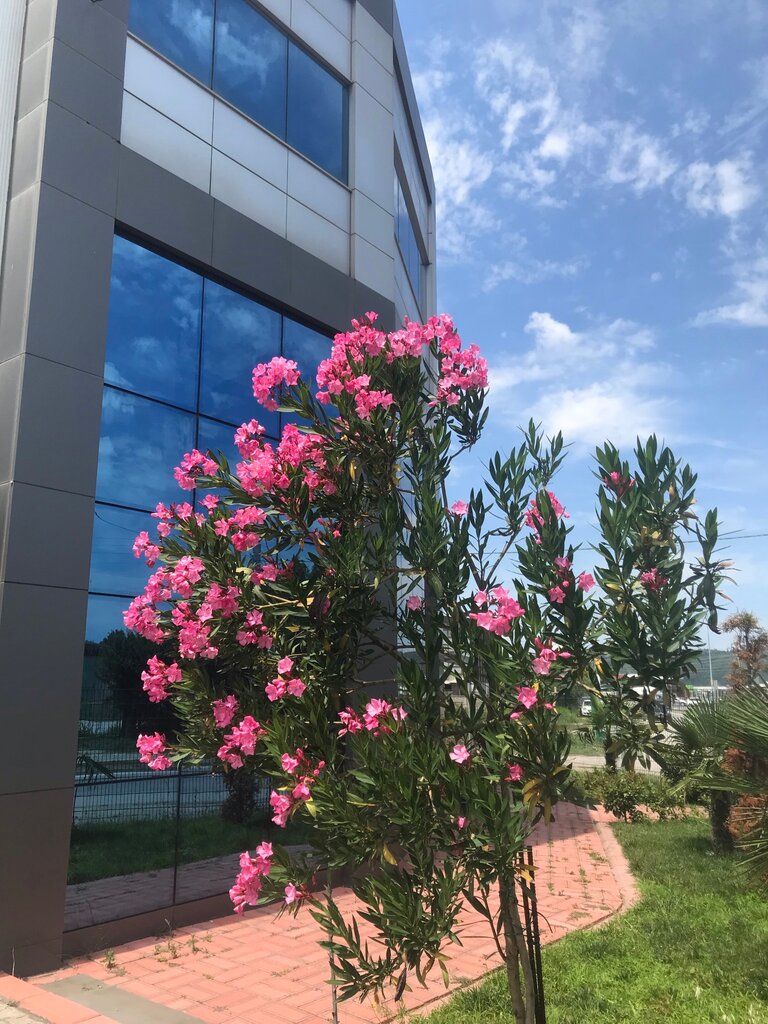 Natural resource extraction Erko Maden Kömür, Adapazari, photo