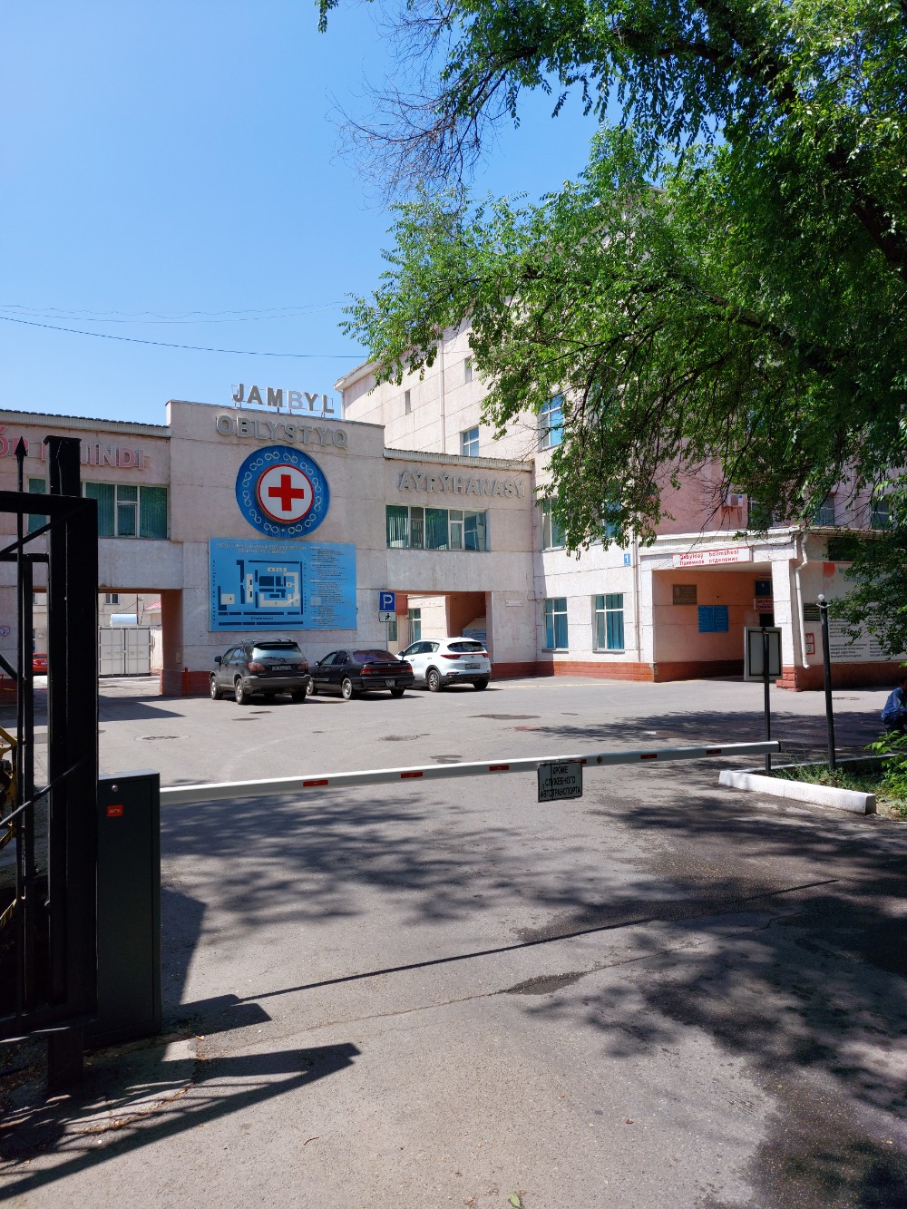 Фигурасы жақсы, кеудесі үлкен ана ұлымен жыныстық қатынасқа түседі