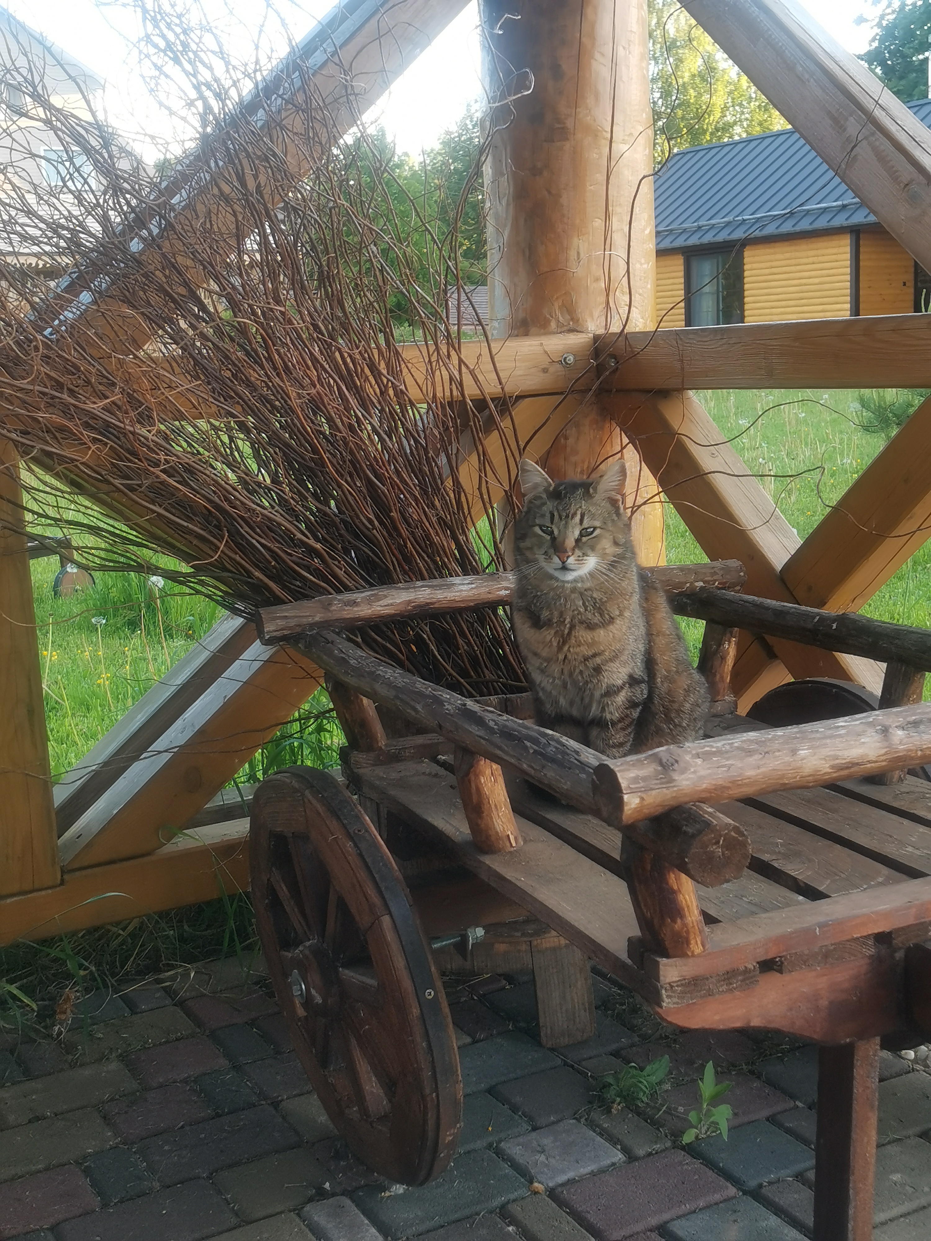 Фото Псковские дали