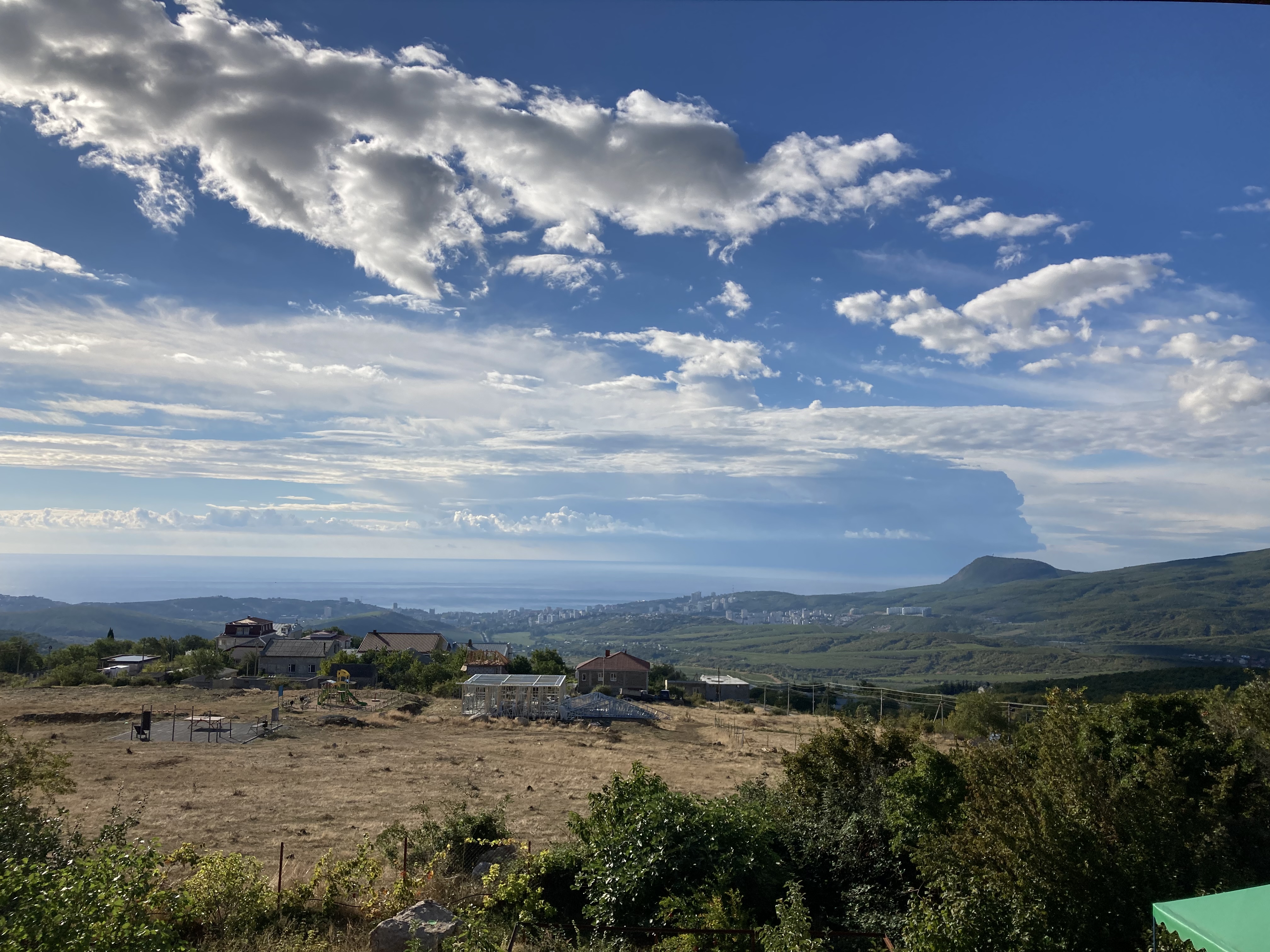 Фото Горная лаванда