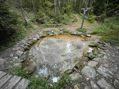 Ключ, ручей Ясенецкий родник, Брестская область, фото