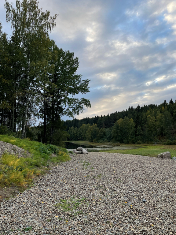 Фото Шелест