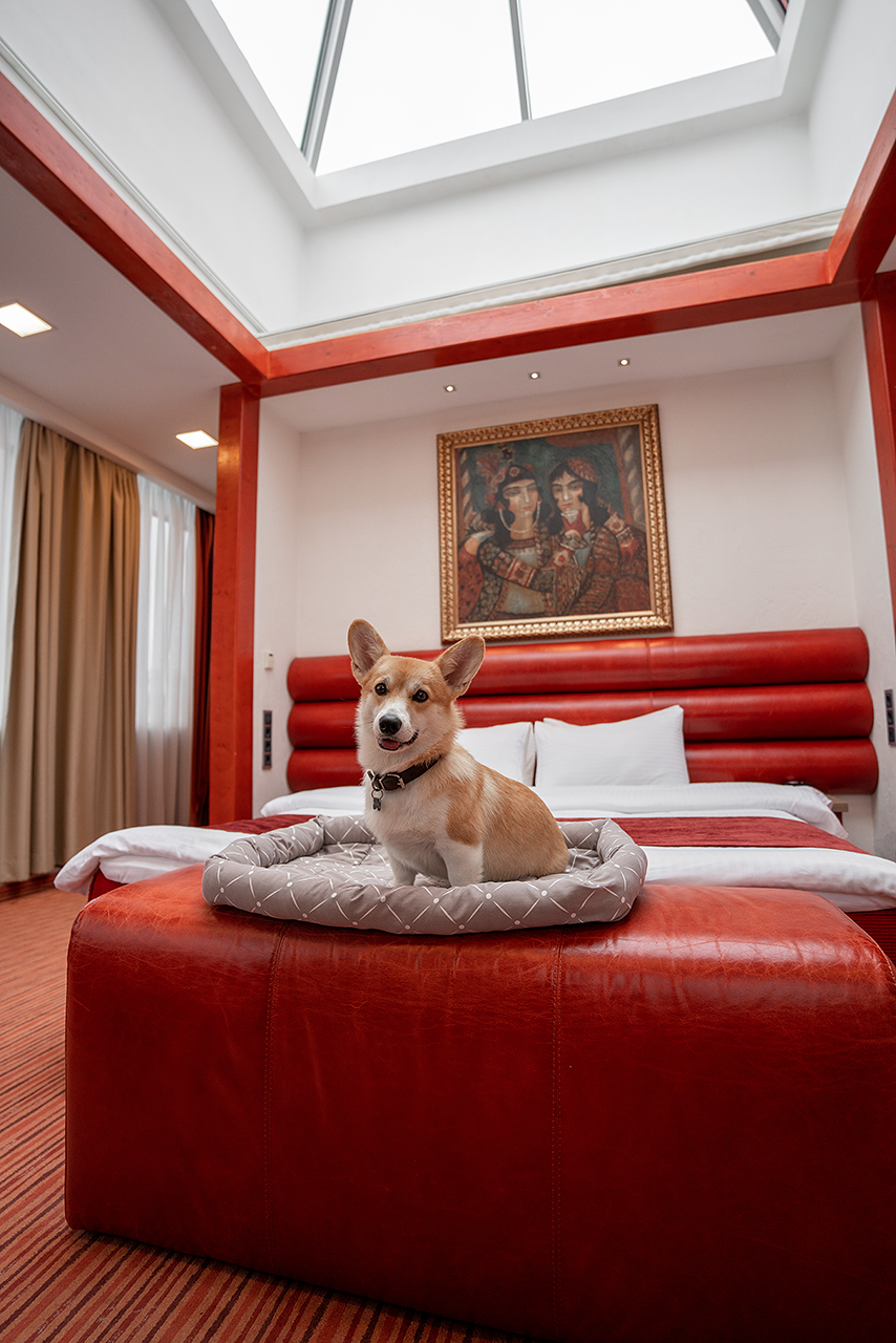 Фото отеля 5