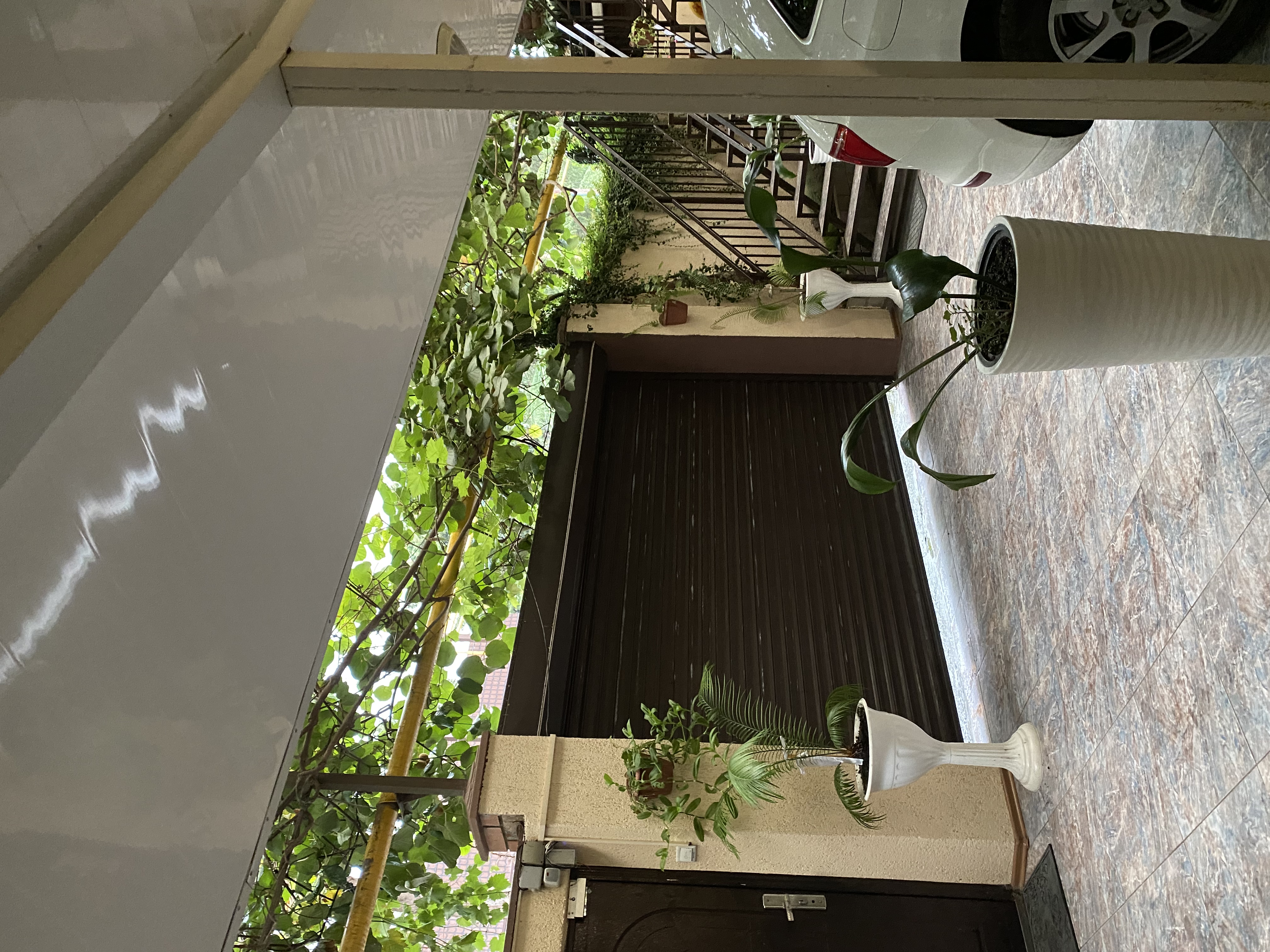 Фото Александра