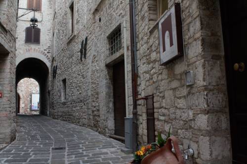 Фото 163816435258