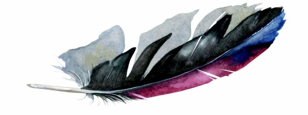 Фото Il Segnalibro B&b