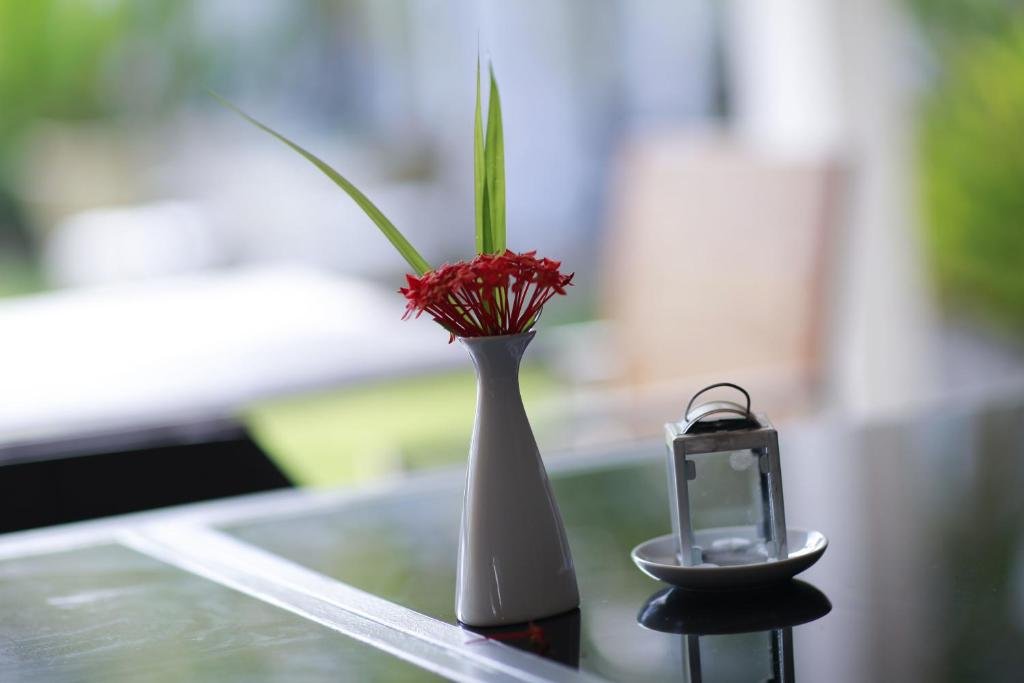 Фото Armacao dos Buzios Pousada Design