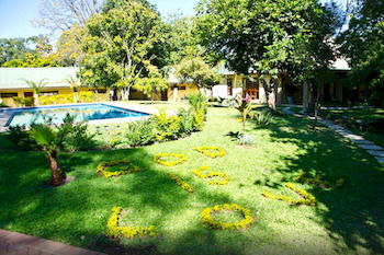 Фото 241817059220