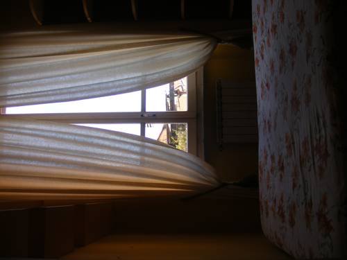 Фото 213958696842