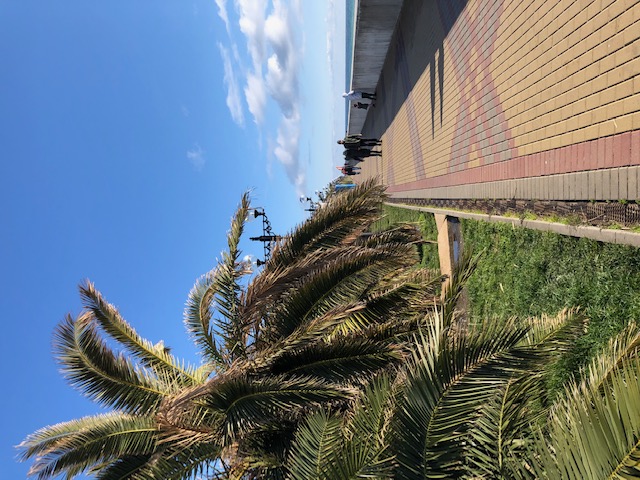 Фото Апартаменты на Парусной