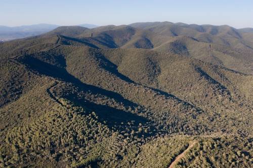 Фото Hotel Parco delle Cale