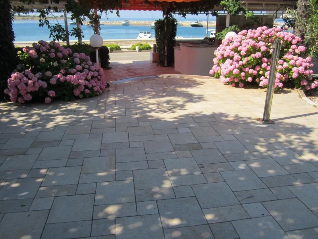 Фото Guesthouse Punta Mira