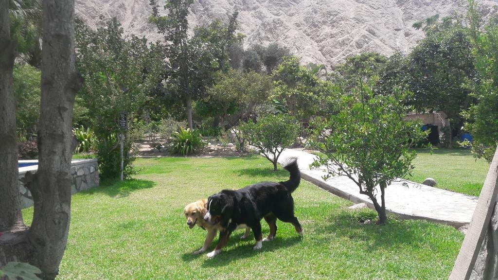 Фото Refugio de Santiago Ecolodge