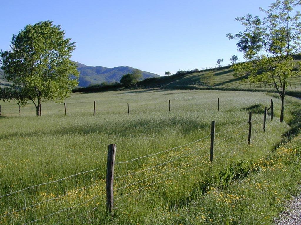 Фото Maridiana Alpaca