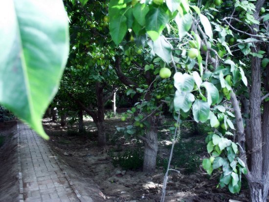 Фото Shoufu Express Hotel